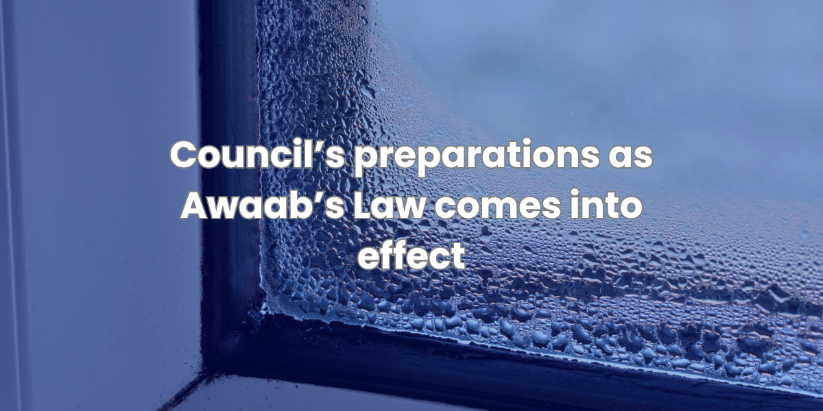 Council’s preparations as Awaab’s Law comes into effect over an image of condensation on a window
