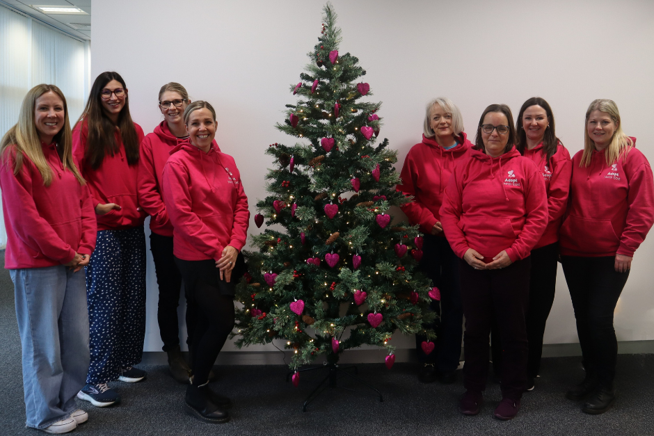 Adopt North East colleagues stand around a Christmas tree featuring 41 pink baubles