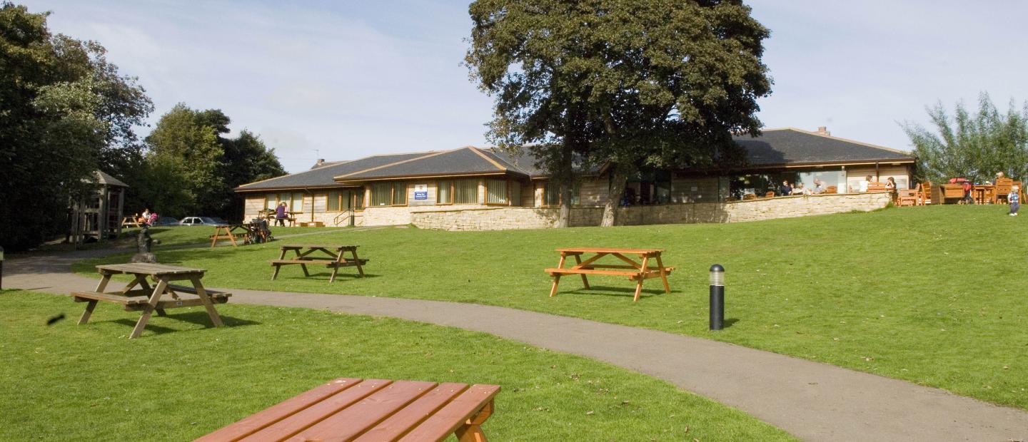Picnic benches outside a building with trees and grass