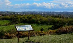 A view from a hill with lots of greeen space