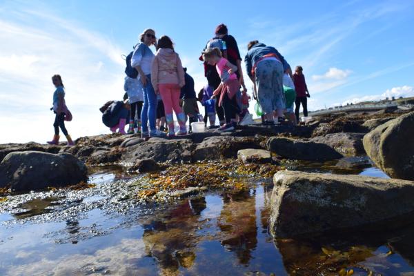 Group of families rock pooling