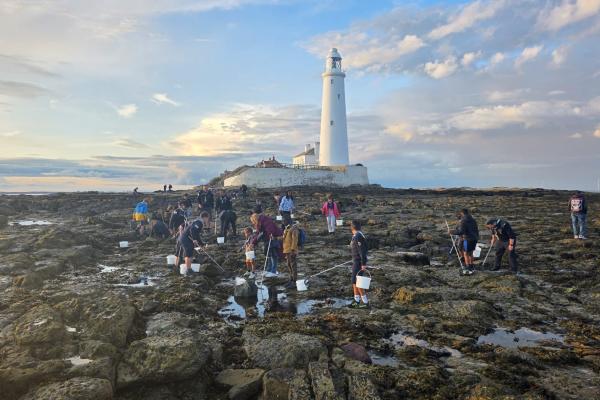 Group of young people in rock pools with lighthouse in background